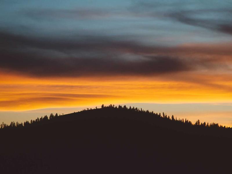 仿生义肢<br>qyh4jna.cn 赛博格改造舱